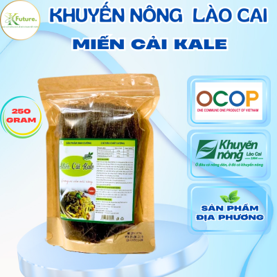 Miến cải Kale (Lào Cai)